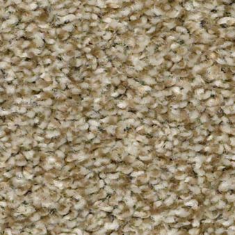 CABANA LIFE (T) color sample DRIED CLAY 00137