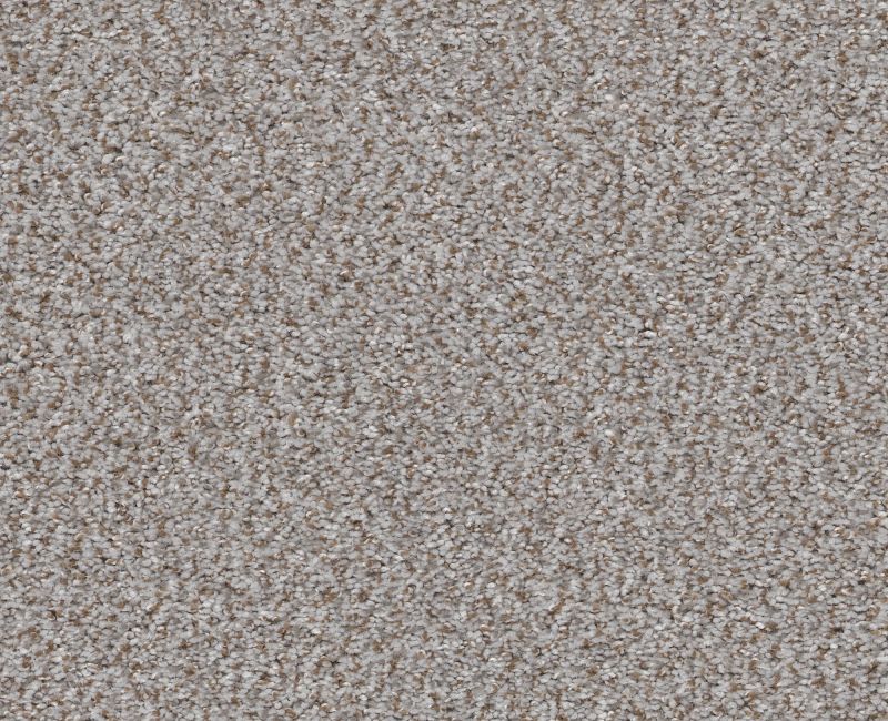 CABANA LIFE (B) Shaw carpet style E9959 available through Carpet Tech. Of Virginia