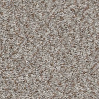 CABANA LIFE (B) color sample SEASHELL 00151