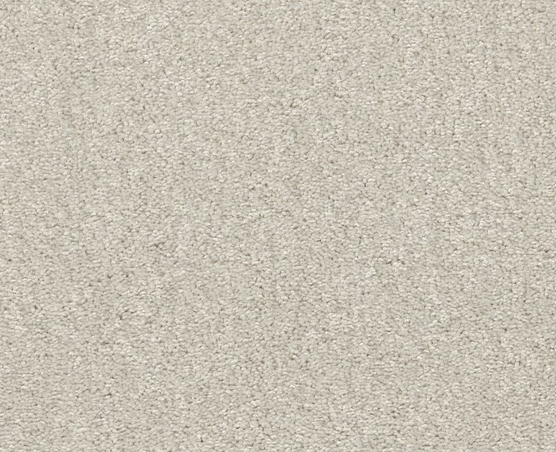 ATTAINABLE Shaw carpet style E9965 available through Carpet Tech. Of Virginia