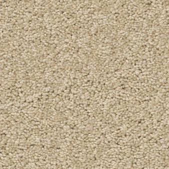 XV694 color sample SANDY SHOR.. 00101
