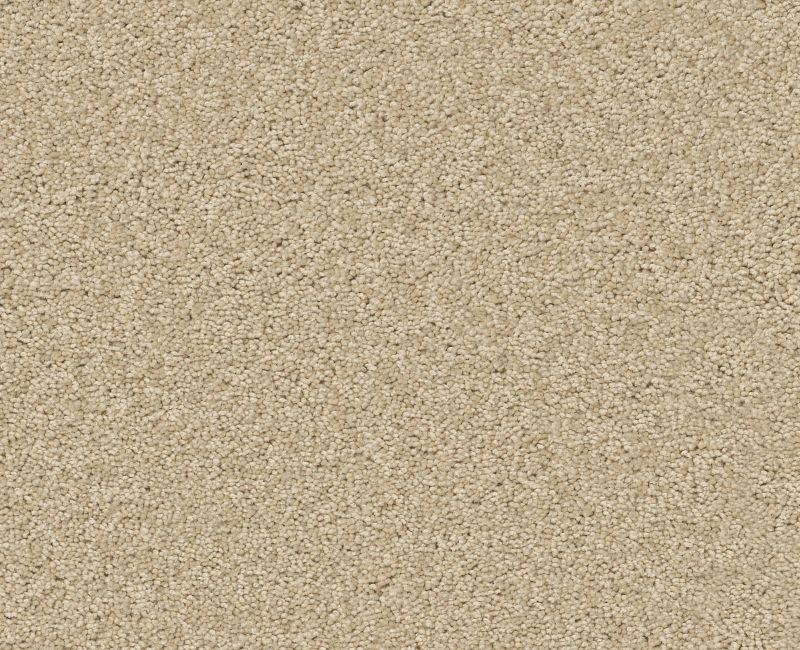 XV694 Shaw carpet style XV694 available through Carpet Tech. Of Virginia