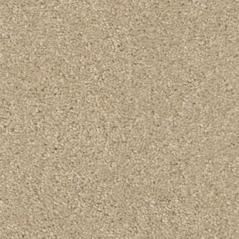 XV813 color sample SANDY SHOR.. 00101
