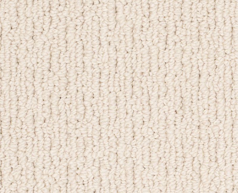 CASUAL MOOD Shaw carpet style Z6820 available through Carpet Tech. Of Virginia