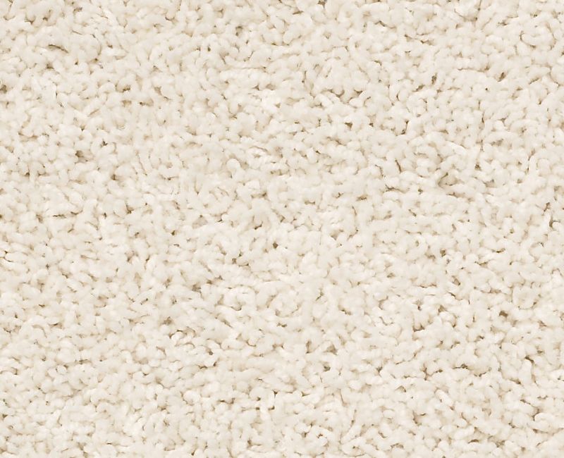 DEL MORRO Shaw carpet style ZZ021 available through Carpet Tech. Of Virginia