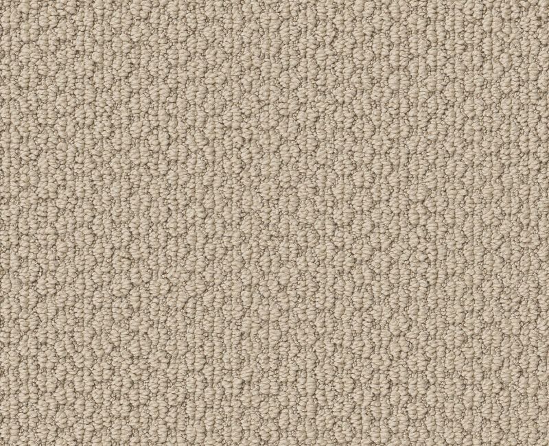 CATHEDRAL HILL II Shaw carpet style ZZ040 available through Carpet Tech. Of Virginia