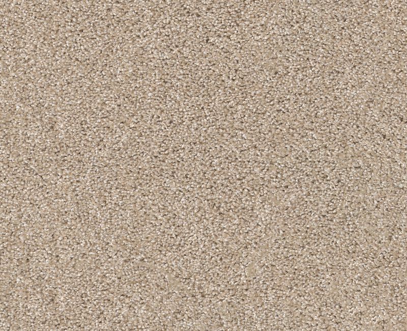 OCEAN VIEW Shaw carpet style ZZ043 available through Carpet Tech. Of Virginia