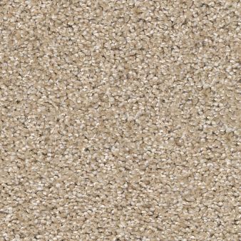 OCEAN VIEW color sample SOFTER TAN 00123