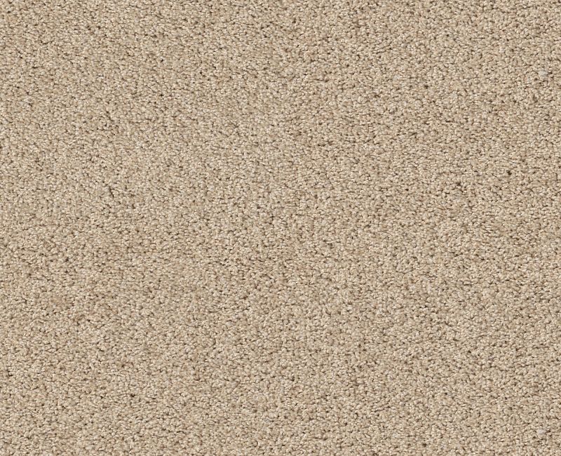 ACADIA PARK Shaw carpet style ZZ044 available through Carpet Tech. Of Virginia