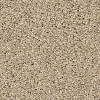 ACADIA PARK color sample SOFTER TAN 00123