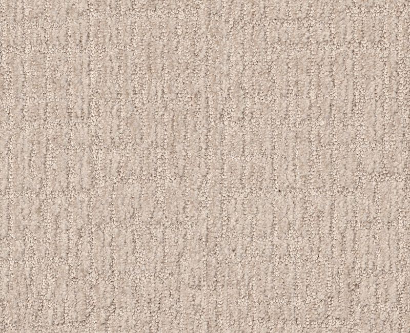 WANDERER Shaw carpet style ZZ224 available through Carpet Tech. Of Virginia