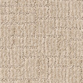 WAYFARER color sample COTTON TAI.. 00121