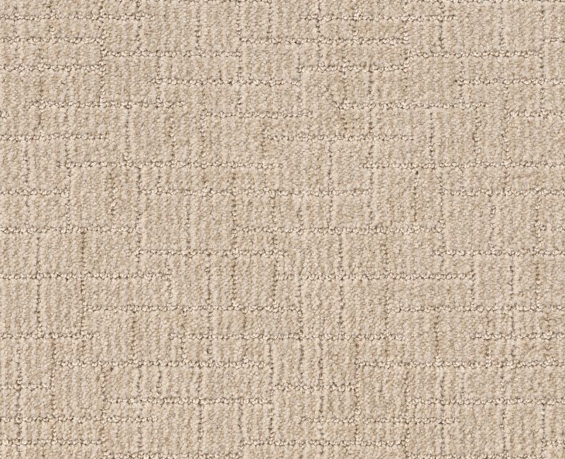 WAYFARER Shaw carpet style ZZ225 available through Carpet Tech. Of Virginia