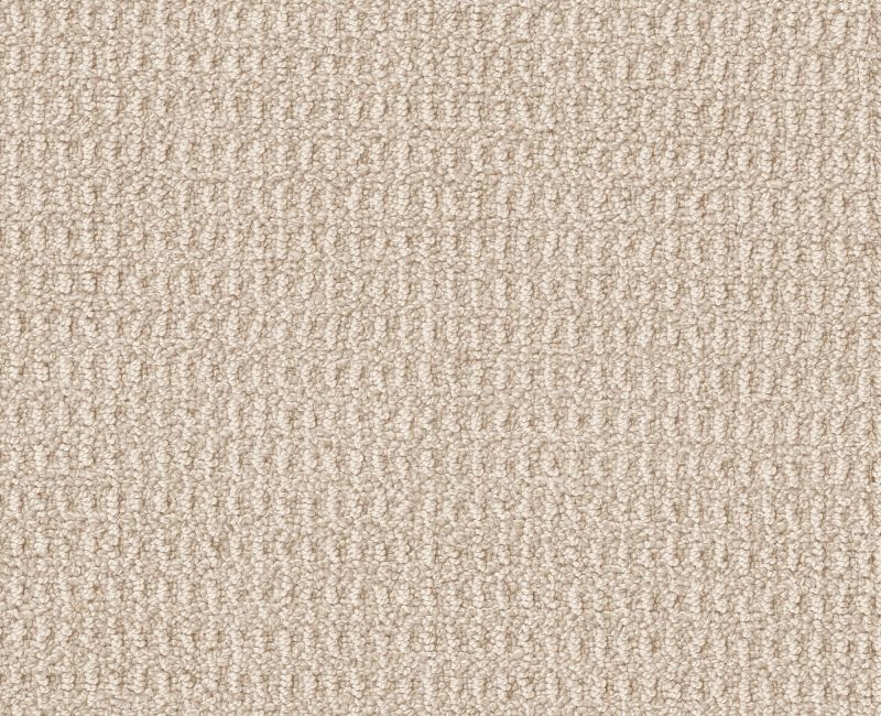 PORTOFINO Shaw carpet style ZZ232 available through Carpet Tech. Of Virginia