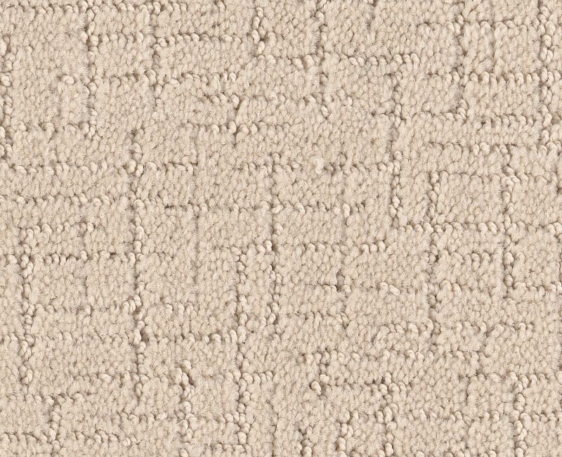 ONE MORE HOUR Shaw carpet style ZZ233 available through Carpet Tech. Of Virginia