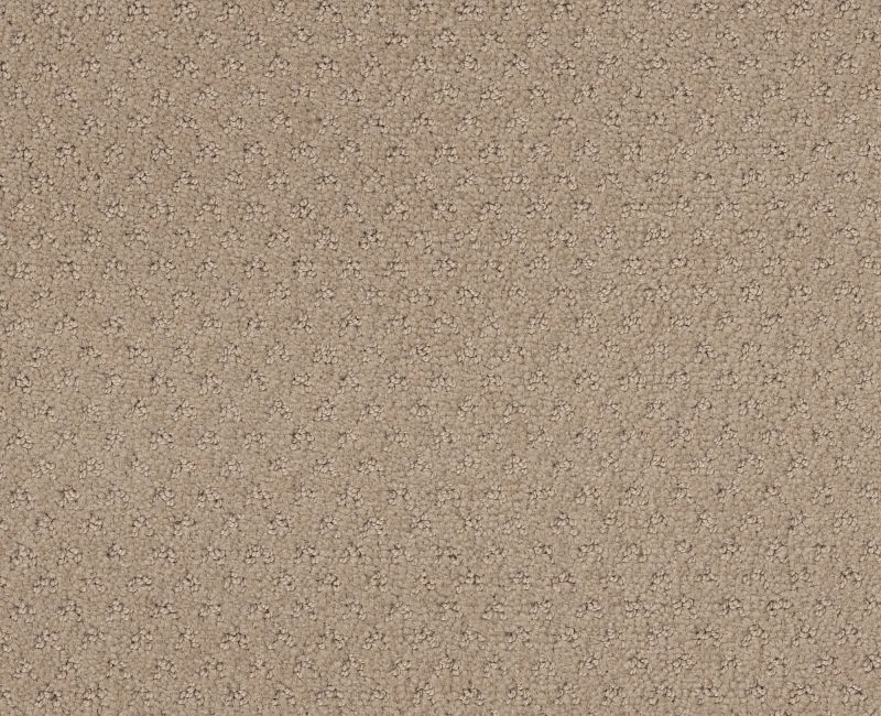 DEL VISTA Shaw carpet style ZZ262 available through Carpet Tech. Of Virginia