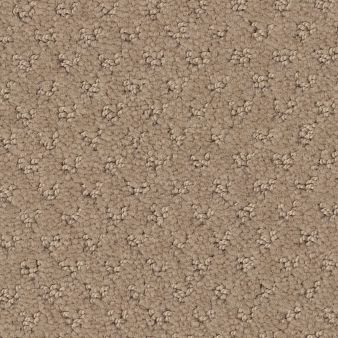 DEL VISTA color sample BEACH GRAS.. 00117