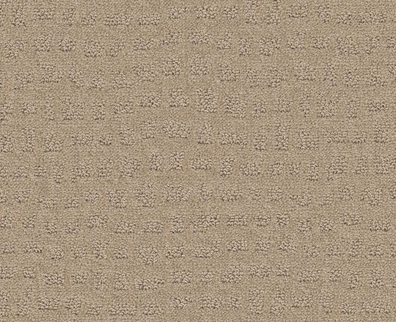 SOLSTICE Shaw carpet style ZZ264 available through Carpet Tech. Of Virginia