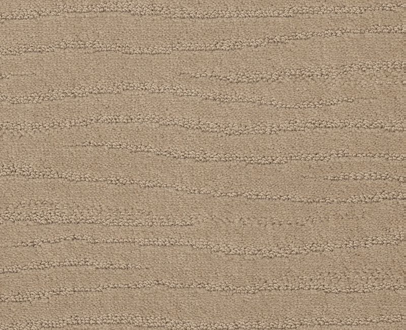 CAPISTRANO Shaw carpet style ZZ266 available through Carpet Tech. Of Virginia